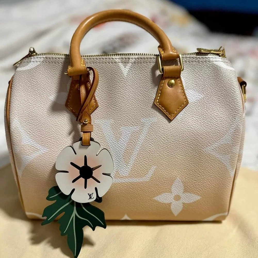 ♥️traded♥️Louis Vuitton By the Pool Speedy 25 - Picture 3 of 16